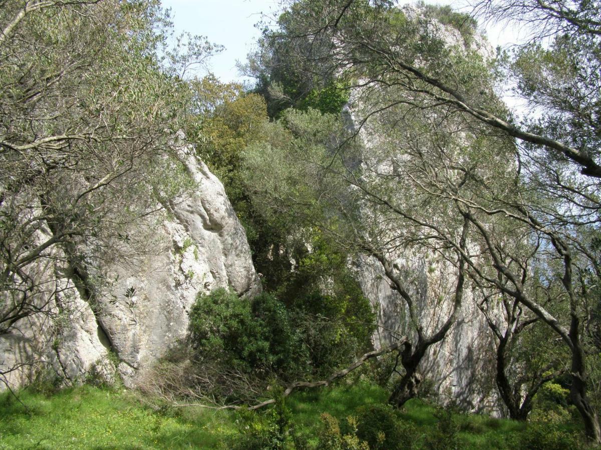 Bed & Breakfast Kostas Walkers Point *