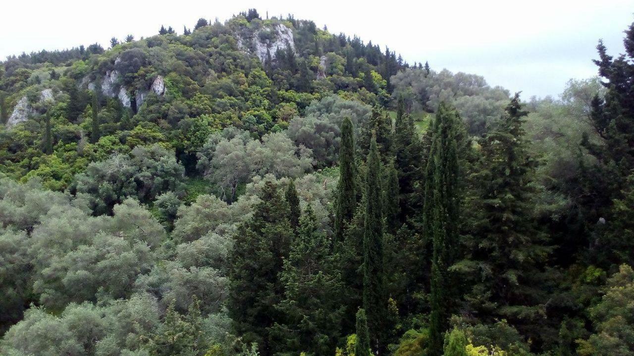 Kostas Walkers Point Dafnáta